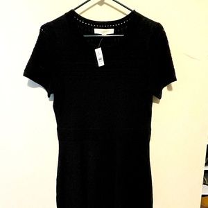 Ann Taylor Loft knit black dress.